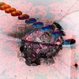 Tuber Eclipse (2008)