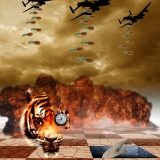 Tiger Tiger
