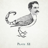 Hybird