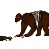 Bestiarium: Rompo