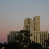 Cathedral of Medicine III